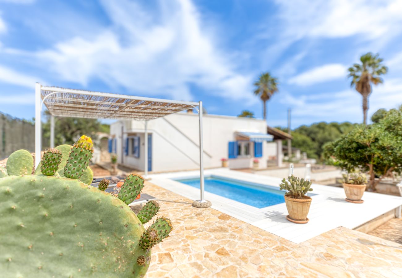 Ferienhaus in Pescoluse - Hübsches Ferienhaus mit Pool 1km vom Sandstrand von Pescoluse