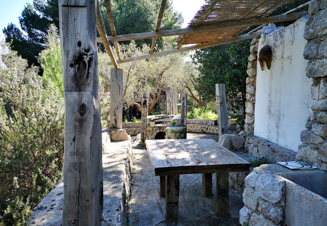 Ferienhaus in Castro - Ferienhaus mit Meerzugang in großem Park (Haus C)