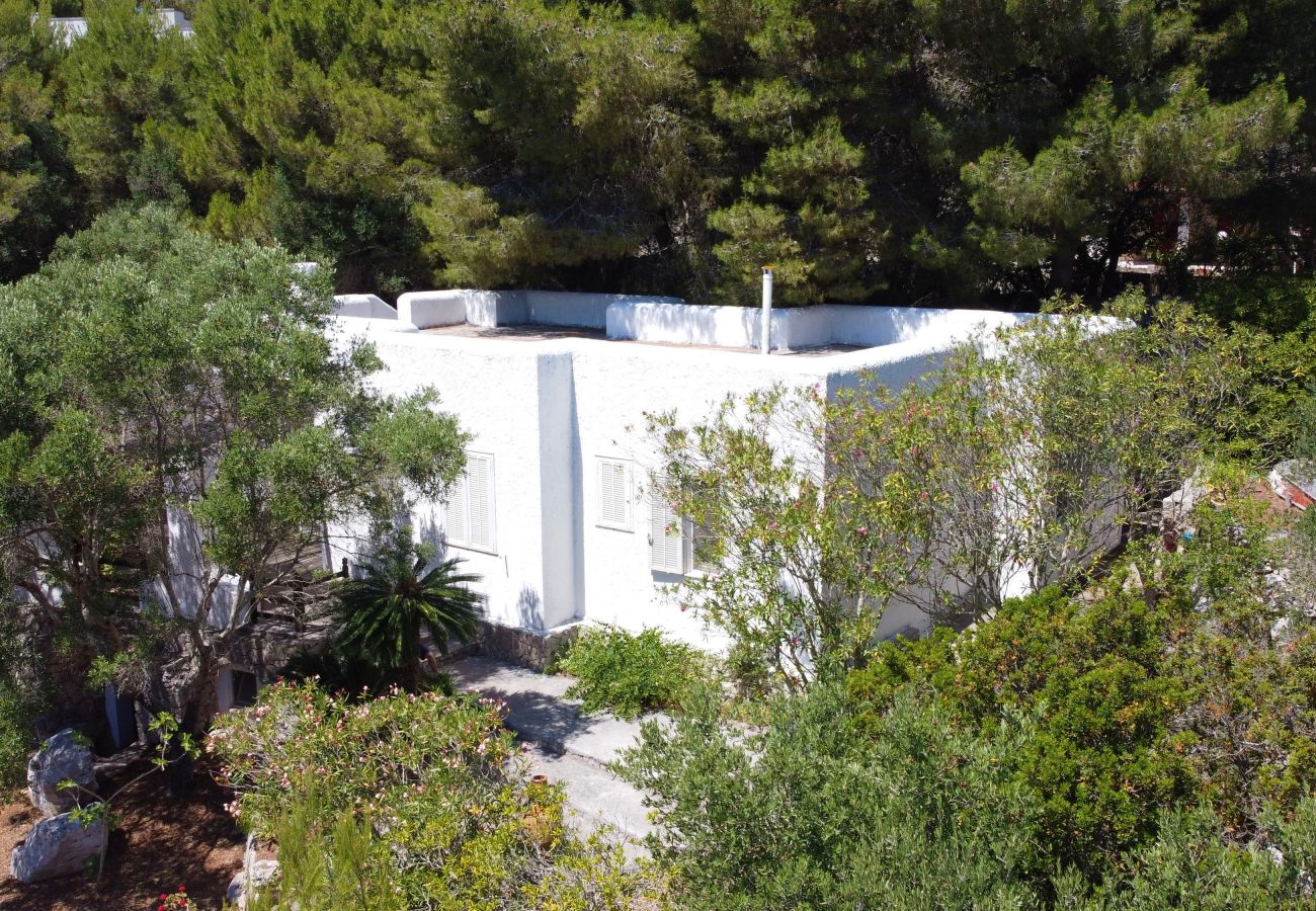 Maison à Castro - Grande villa avec accès mer (villa D)