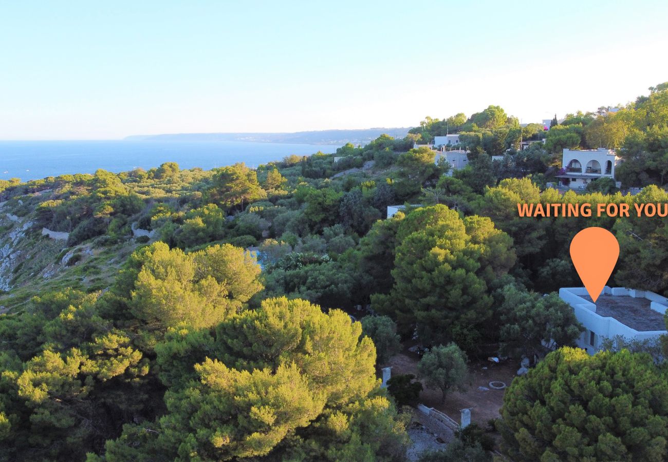 Maison à Castro - Grande villa avec accès mer (villa D)