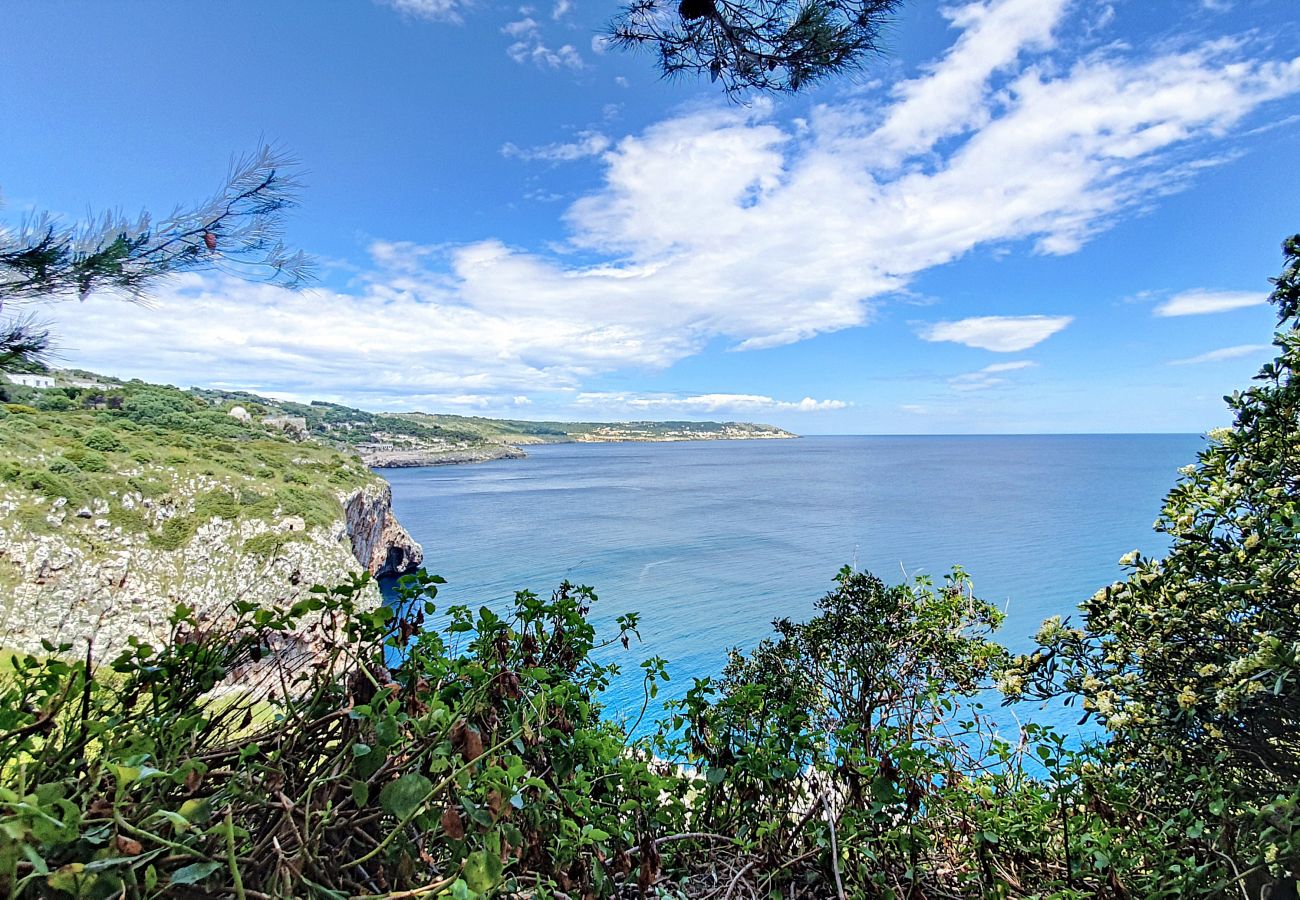 Villa à Castro - Superbe villa avec jacuzzi et accès privé à la mer