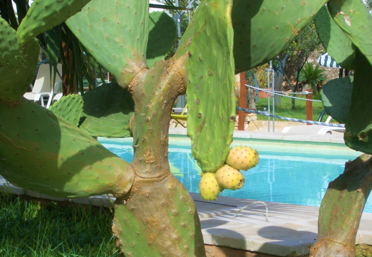 Maison à Patù - Petit bijou avec piscine dans le Salento (D)