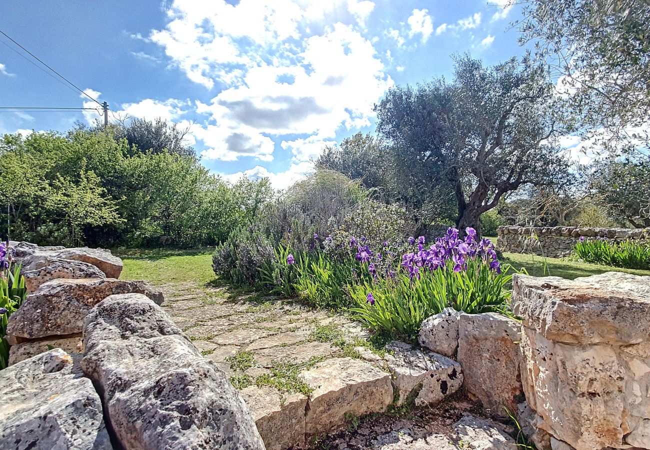 Villa à Cisternino - Grande propriété de trulli avec piscine naturelle