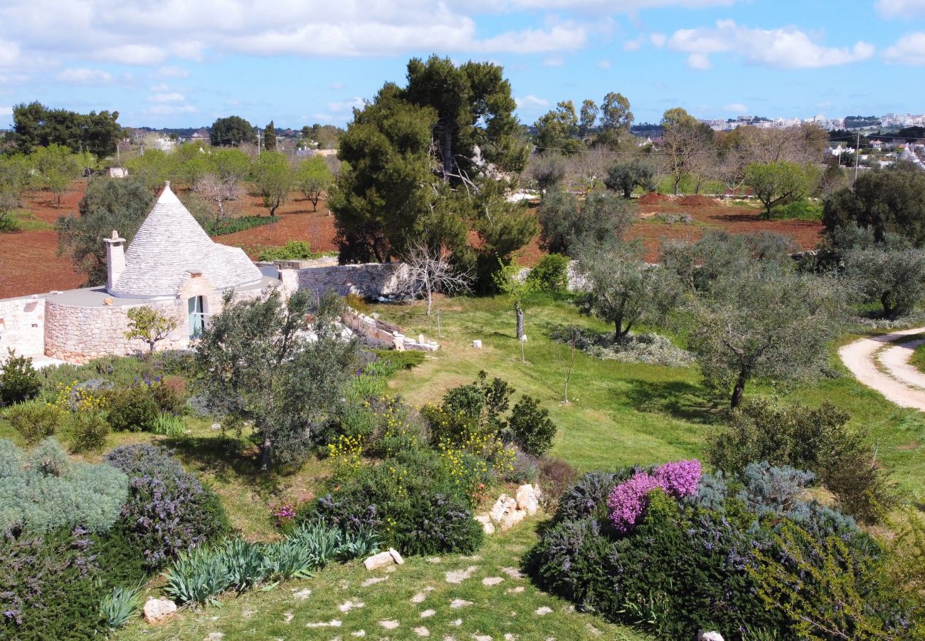 Villa à Cisternino - Grande propriété de trulli avec piscine naturelle