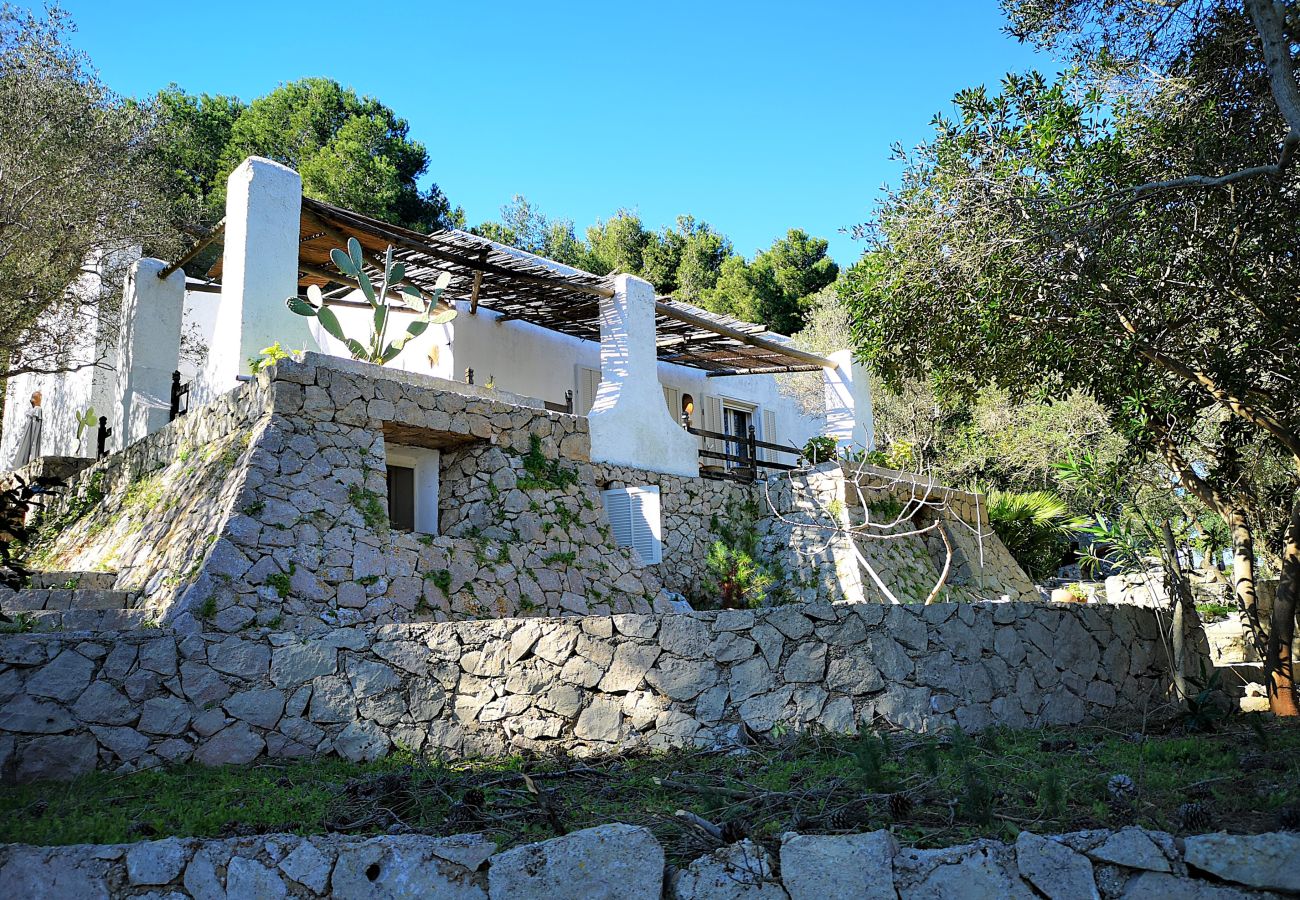 Maison à Castro - Maison avec accès mer dans un grand parc (maison C)