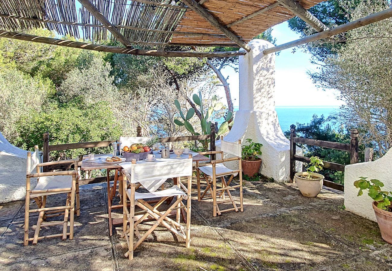 Maison à Castro - Maison avec accès mer dans un grand parc (maison C)