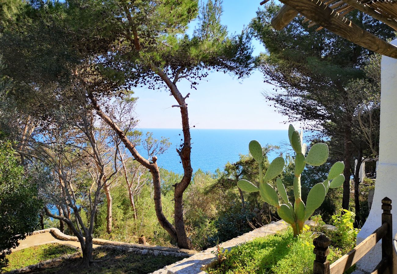 Maison à Castro - Maison avec accès mer dans un grand parc (maison C)