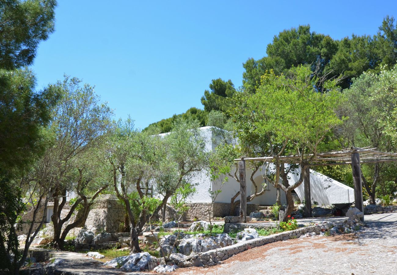 Maison à Castro - Maison avec accès mer dans un grand parc (maison C)