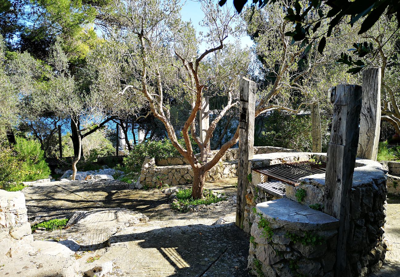 Maison à Castro - Maison avec accès mer dans un grand parc (maison C)