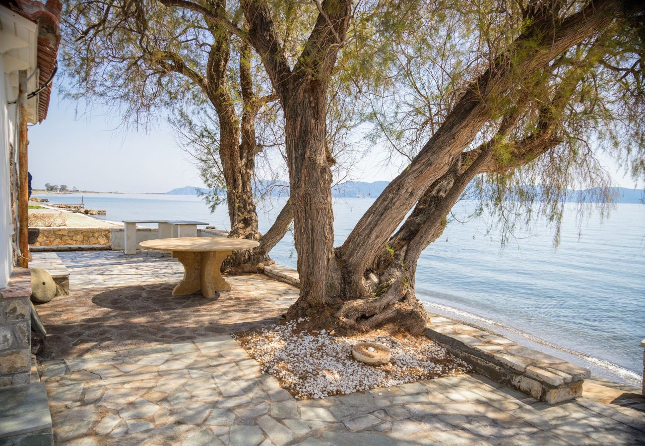 Villa à Ermioni - Villa avec plage privée, piscine, multisport & jetée