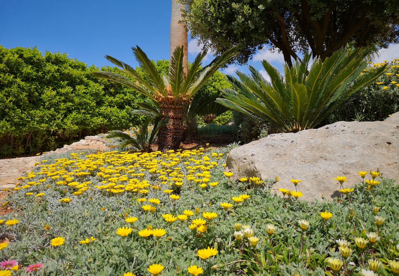 Villa a Pescoluse - Villa vicino spiaggia con jacuzzi e vista mare