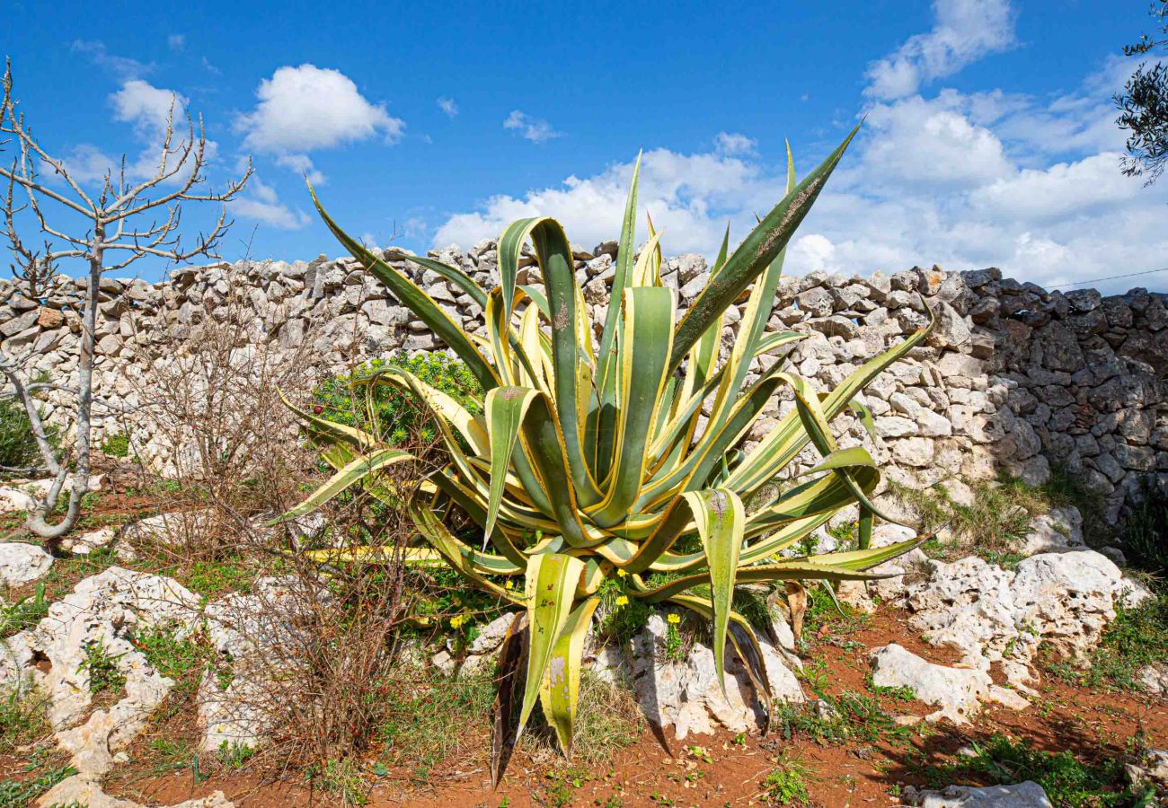 Casa a Gagliano del Capo - Trullo con jacuzzi riscaldata e vista mare a 180°